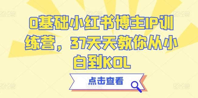 0基础小红书博主IP训练营，37天天教你从小白到KOL-云网创