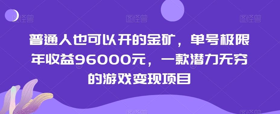 普通人也可以开的金矿，单号极限年收益96000元，一款潜力无穷的游戏变现项目【揭秘】-云网创