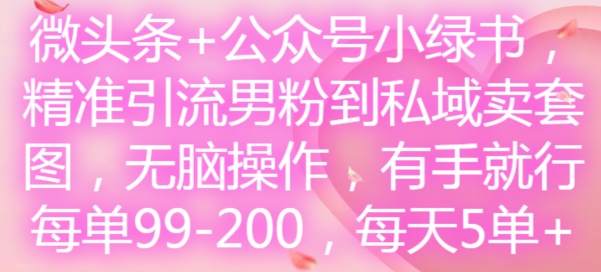 微头条+公众号小绿书,精准引流男粉到私域卖套图,无脑操作,有手就行,每单99-200,每天5单-云网创