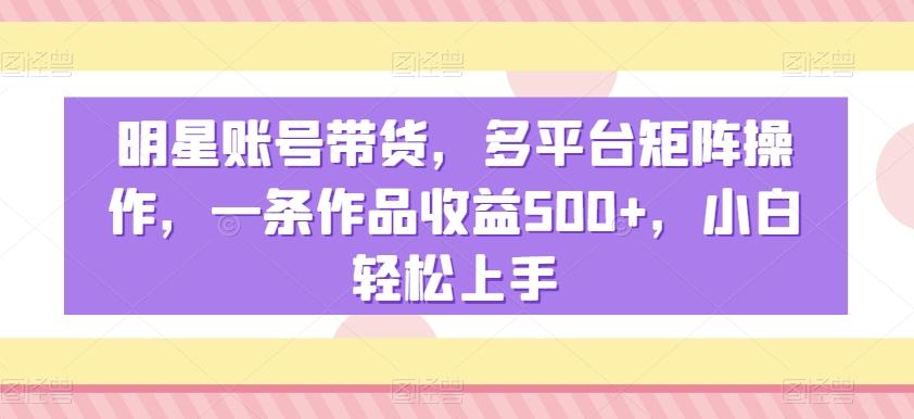 明星账号带货，多平台矩阵操作，一条作品收益500+，小白轻松上手【揭秘】-云网创