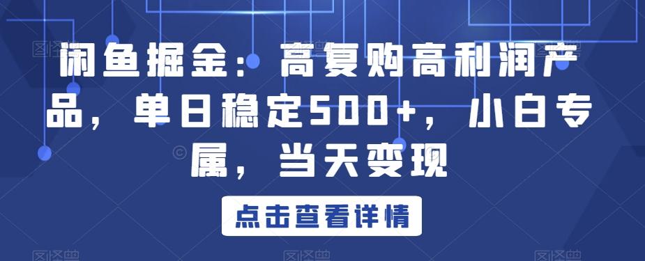 闲鱼掘金：高复购高利润产品，单日稳定500+，小白专属，当天变现-云网创