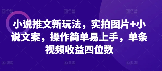小说推文新玩法，实拍图片+小说文案，操作简单易上手，单条视频收益四位数-云网创
