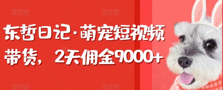 东哲日记·萌宠短视频带货，2天佣金9000+-云网创