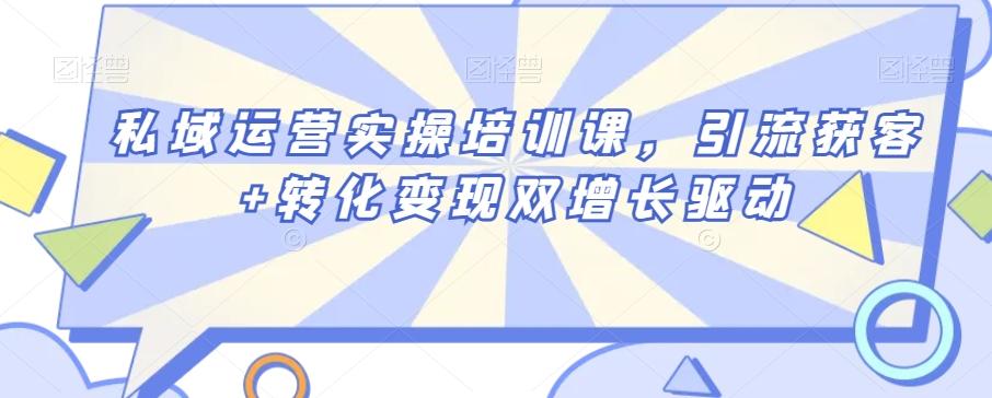 私域运营实操培训课,引流获客+转化变现双增长驱动-云网创
