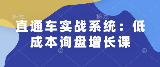 直通车实战系统：低成本询盘增长课，让个人通过技能实现升职加薪，让企业低成本获客，订单源源不断-云网创