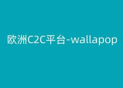 欧洲C2C平台-wallapop-kim跨境电商教程-云网创