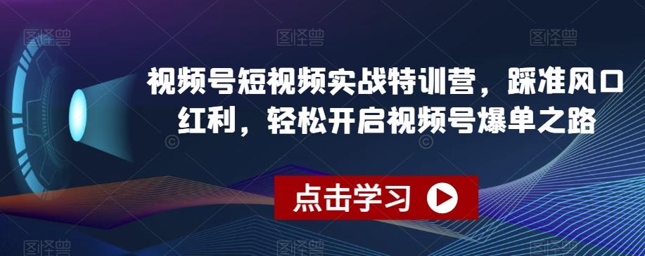 视频号短视频实战特训营，踩准风口红利，轻松开启视频号爆单之路-云网创