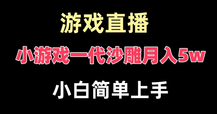 玩小游戏一代沙雕月入5w，爆裂变现，快速拿结果，高级保姆式教学【揭秘】-云网创