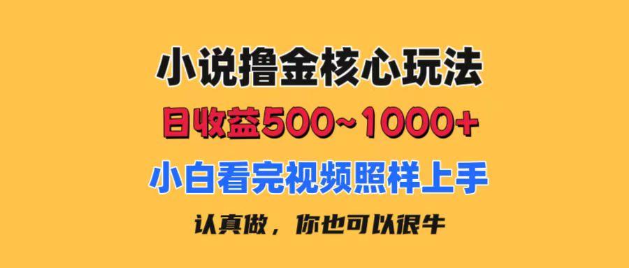 小说撸金核心玩法,日收益500-1000+,小白看完照样上手,0成本有手就行-云网创