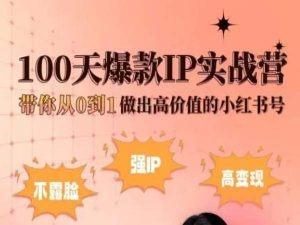 小红书100天爆款IP实战营，带你从0到1做出高价值的小红书号-云网创