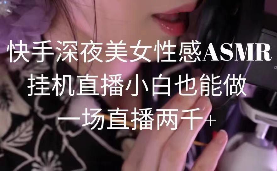 快手深夜美女性感ASMR挂机直播，小白也能做，一场直播两千+-云网创
