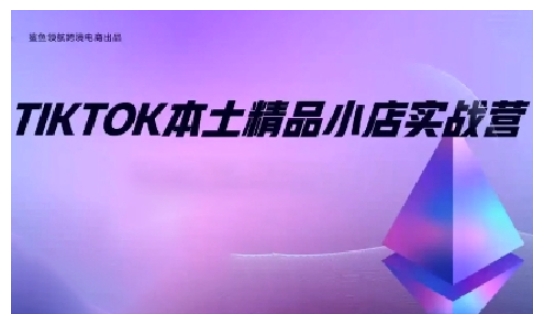 TikTok本土精品小店出海实战营，从入门到高阶，不止0-1!-云网创