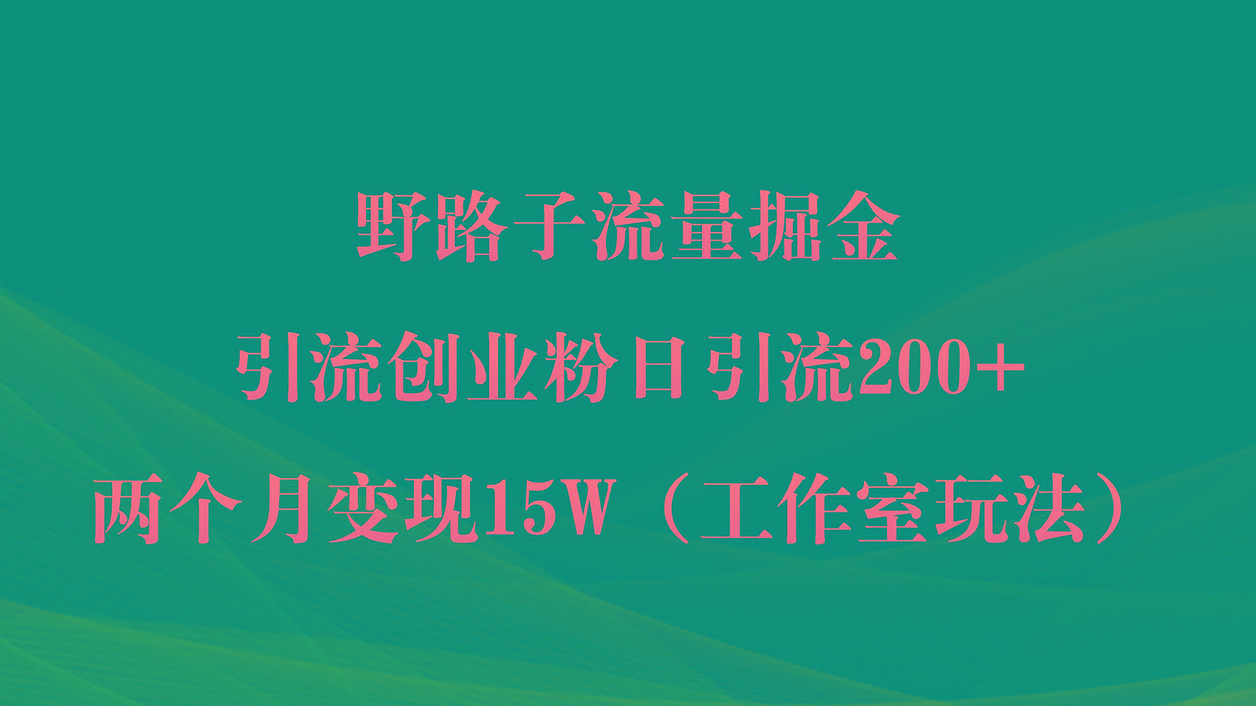 (9513期)野路子流量掘金,引流创业粉日引流200+,两个月变现15W(工作室玩法))-云网创