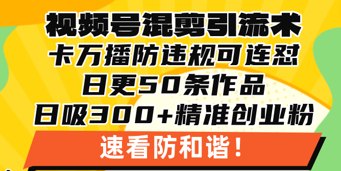 视频号混剪引流技术，500万播放引流17000创业粉，操作简单当天学会-云网创