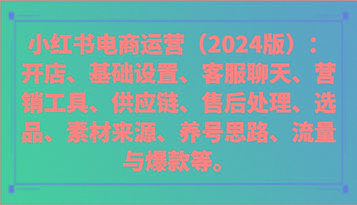 小红书电商运营(2024版)：开店、设置、供应链、选品、素材、养号、流量与爆款等-云网创
