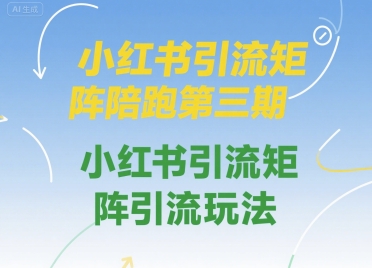 小红书引流矩阵陪跑第三期，小红书引流矩阵引流玩法-云网创