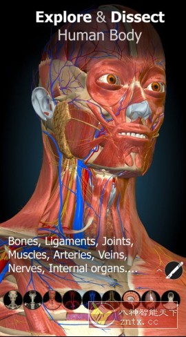 Anatomy Learning 3D解剖学v3.1.467高级版-云网创