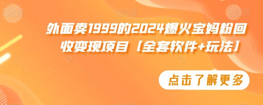 外面卖1999的2024爆火宝妈粉回收变现项目【全套软件+玩法】【揭秘】-云网创