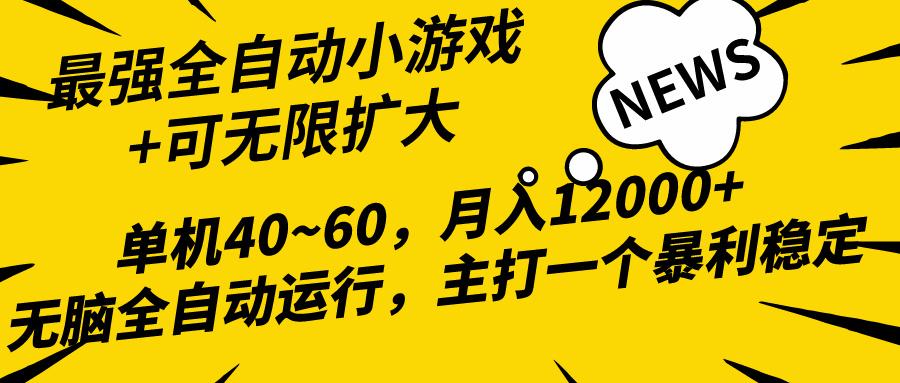 (10046期)2024最新全网独家小游戏全自动，单机40~60,稳定躺赚，小白都能月入过万-云网创