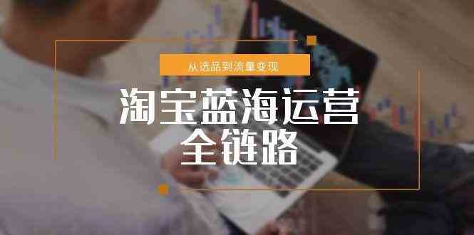淘宝蓝海运营全链路,从选品到流量变现,小类目突围完整方案-云网创