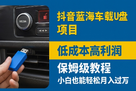 抖音蓝海车载U盘项目,低成本高利润保姆级教程,小白也能轻松月入过W-云网创