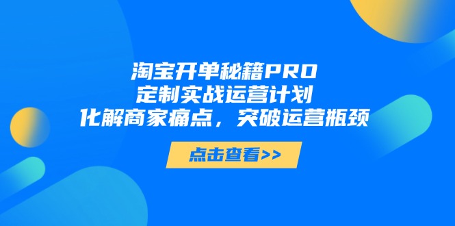 淘宝开单秘籍PRO，定制实战运营计划，化解商家痛点，突破运营瓶颈-云网创