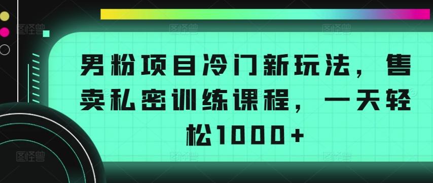 男粉项目冷门新玩法，售卖私密训练课程，一天轻松1000+【揭秘】-云网创