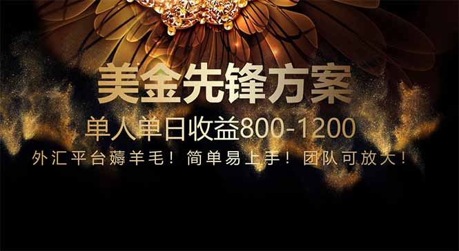 免费技术!小众赛道!一年布局抵三年努力,每日800+-云网创