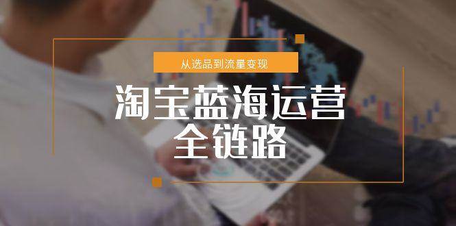 （15160期）淘宝蓝海运营全链路，从选品到流量变现，小类目突围完整方案-云网创