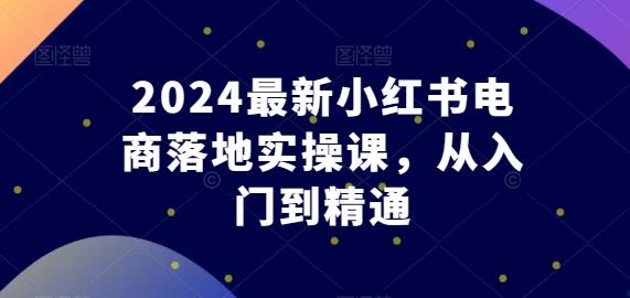 2024最新小红书电商落地实操课，从入门到精通-云网创