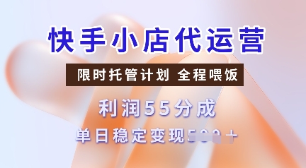 快手小店代运营，限时托管计划，收益55分，单日稳定变现多张【揭秘】-云网创
