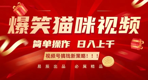 爆笑猫咪视频：简单操作，日入过K，视频号搞钱新策略【揭秘】-云网创