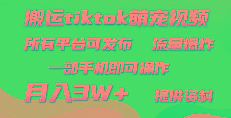 (9618期)搬运Tiktok萌宠类视频，一部手机即可。所有短视频平台均可操作，月入3W+-云网创