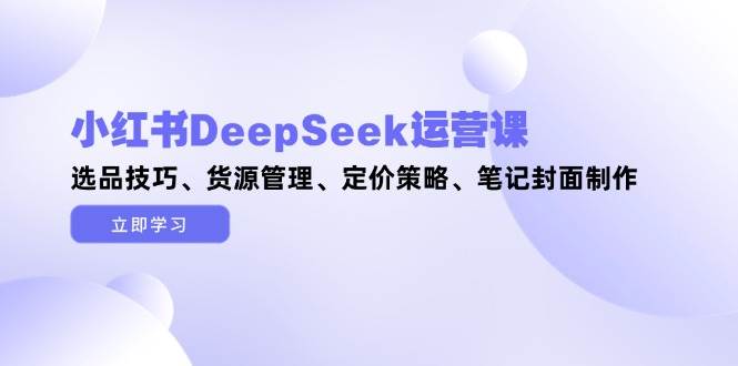 小红书DeepSeek运营课，选品技巧、货源管理、定价策略、笔记封面制作-云网创