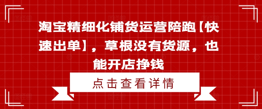 淘宝精细化铺货运营陪跑【快速出单】，草根没有货源，也能开店挣钱-云网创