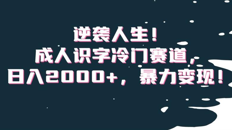 逆袭人生！成人识字冷门赛道，日入2000+，暴力变现！【揭秘】-云网创