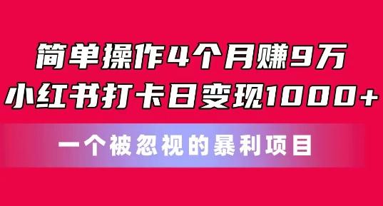 简单操作4个月赚9w，小红书打卡日变现1k，一个被忽视的暴力项目【揭秘】-云网创