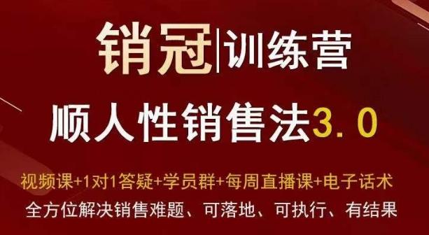 爆款！销冠训练营3.0之顺人性销售法，全方位解决销售难题、可落地、可执行、有结果-云网创