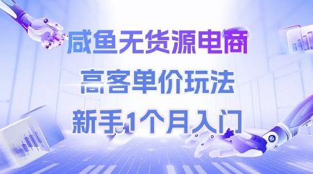 咸鱼无货源电商,高客单价玩法,新手1个月入门-云网创
