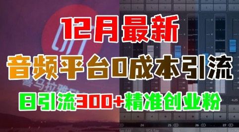 12月最新：音频平台0成本引流，日引流300+精准创业粉-云网创