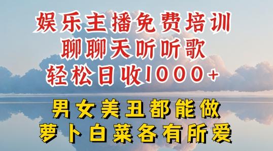 娱乐主播免费培训聊聊天听听歌轻松日收1K+，男女美丑都能做萝卜白菜各有所爱【揭秘】-云网创
