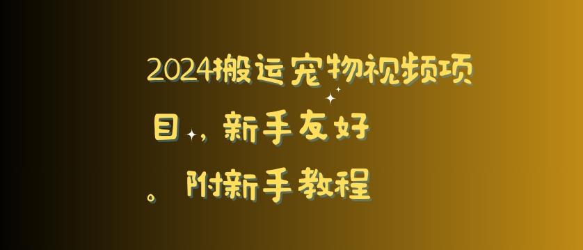 2024搬运宠物视频项目，新手友好，完美去重，附新手教程【揭秘】-云网创