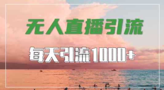 抖音快手视频号全平台通用，无人直播引流法，超暴力引流1000+高质量精准创业粉【揭秘】-云网创