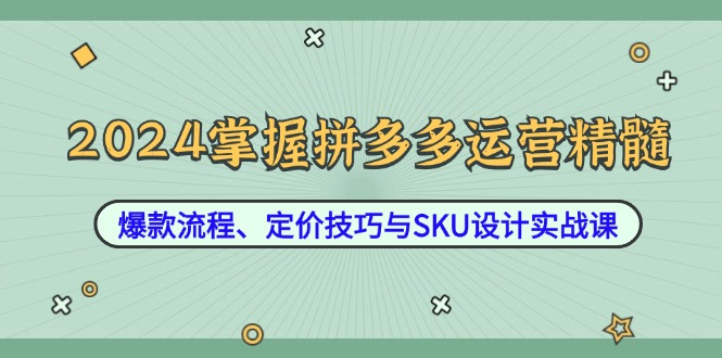 2024掌握拼多多运营精髓：爆款流程、定价技巧与SKU设计实战课-云网创