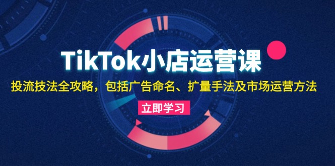 TikTok小店运营课：投流技法全攻略，包括广告命名 扩量手法及市场运营方法-云网创
