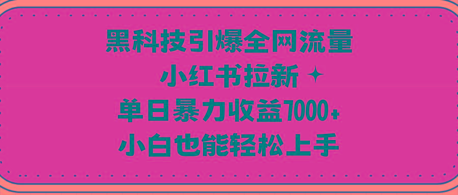 (9679期)黑科技引爆全网流量小红书拉新,单日暴力收益7000+,小白也能轻松上手-云网创