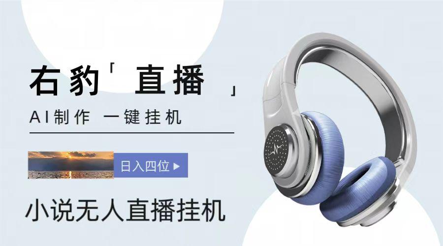 右豹小说无人直播挂机吸金项目，简单易行收益稳定， 月入1000+-云网创