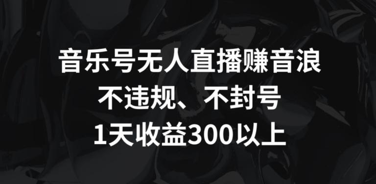 音乐号无人直播赚音浪，不违规、不封号，1天收益300+【揭秘】-云网创
