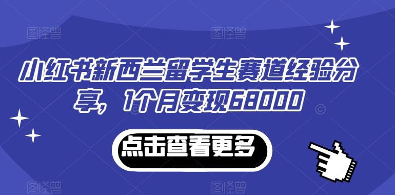 小红书新西兰留学生赛道经验分享，1个月变现68000【揭秘】-云网创