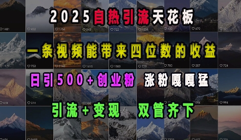 2025自热引流天花板,一条视频能带来四位数的收益,引流+变现双管齐下,日引500+创业粉,涨粉嘎嘎猛-云网创